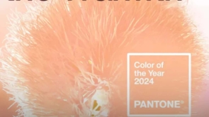 pantone