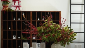 solitude.fragrances